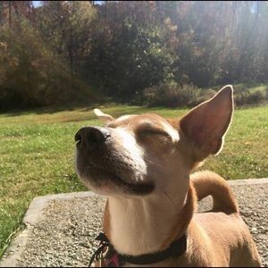 Meet your Posher, Kenji